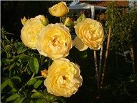 d4811dd5-Picture 3140.jpg